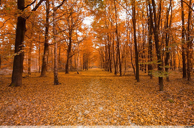 pg电子麻将胡了口诀：运动速干t恤价格(夏季速干运动t恤)