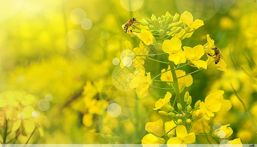 PG电子麻将胡了模拟器：帽子定制logo印字怎么去除草编帽子