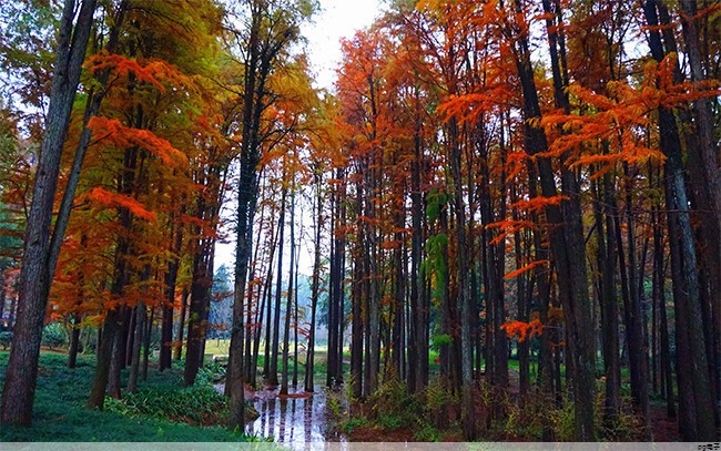 pg电子官方网站：帽子定制一个多少钱合适(定做帽子大概多少钱