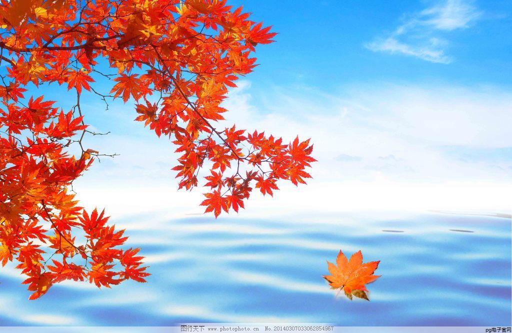 pg电子官方网站平台：帽子定制图案图片大全集(班级帽子定制图