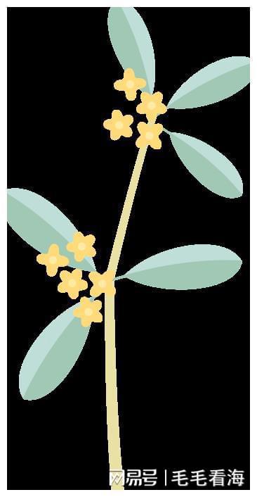 pg电子游戏官方网站花样繁多的香水把这届年轻人“腌”入味了！