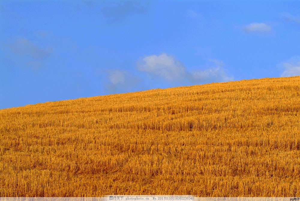 pg电子麻将胡了2体验版：帽子定制图片大全集(帽子定制图案 