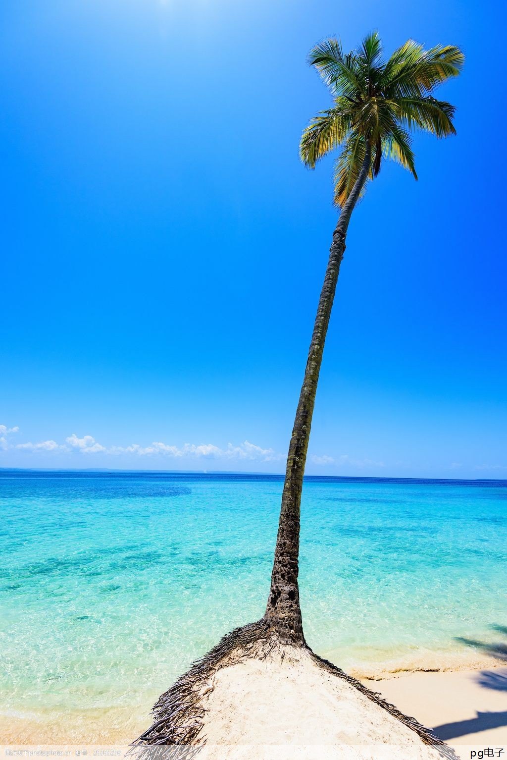 pg电子模拟器试玩破解版赏金女王：春秋工作服尺寸规格表(西装