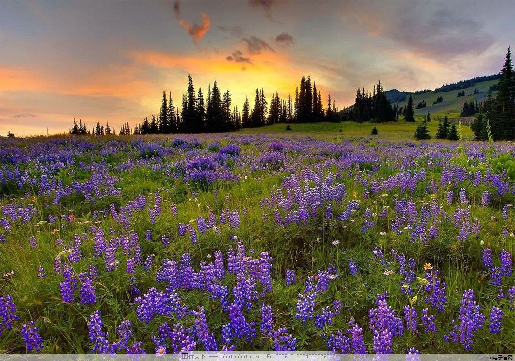 pg电子爆大奖视频赏金大对决：春秋工服设计说明500字