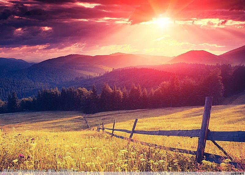 pg电子最新网站入口：高端商务polo衫一般用什么布料