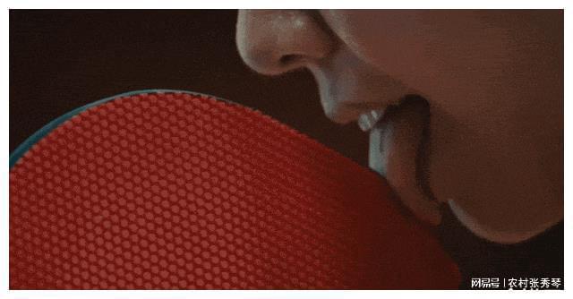 PG平台官方网站蒸发千亿！郑钦文背后金主被打回原形