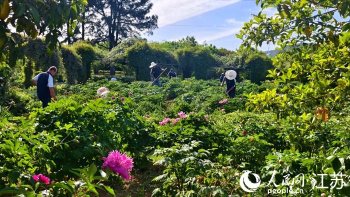 pg电子官方网站全國助殘日丨南京溧水：牡丹“花開”特教路