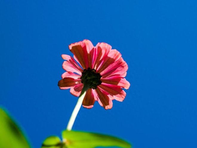 PG电子官方5月9日-5月11日逆境变顺境的生肖好运翻红越努