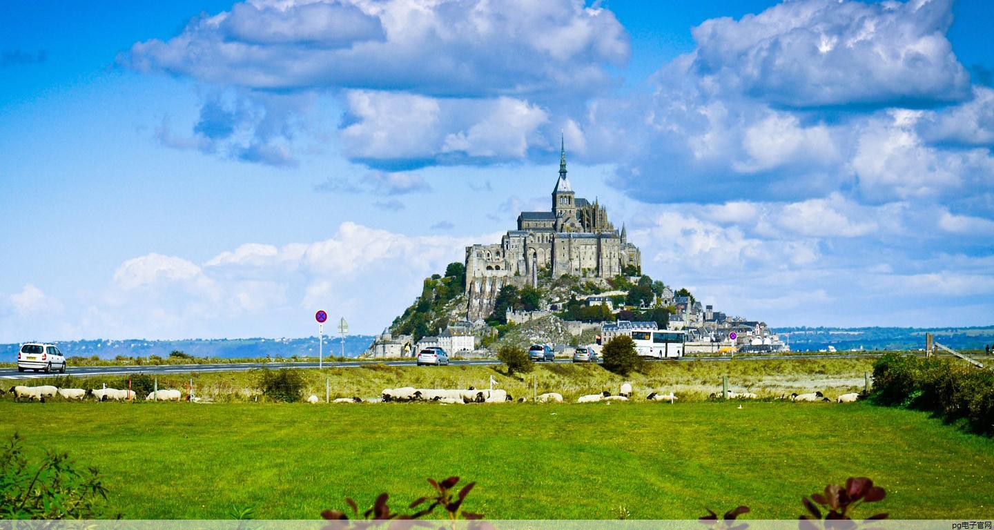 t恤定制图案店(t恤定制图案店铺推荐)