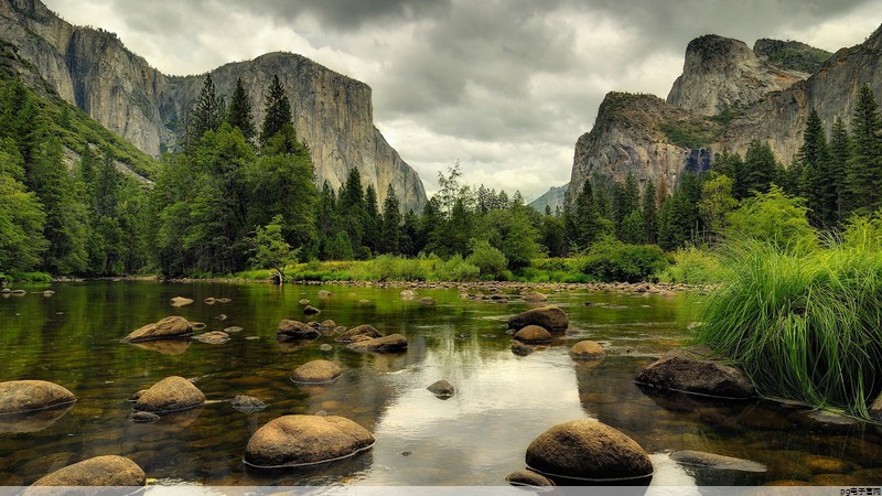 t恤定制图案效果图在线预览下载(t恤定制图案效果图在线预览下载软件)