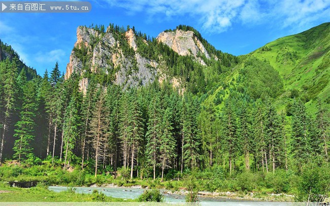 t恤定制图案素材下载(t恤图案图片 素材) t恤定制图案素材下载(t恤图案图片 素材)