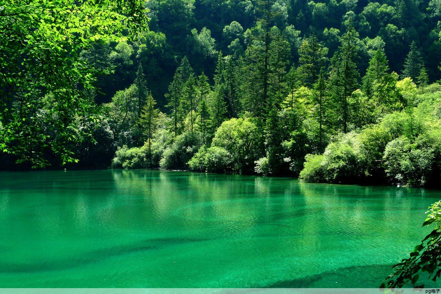 t恤定制图案高清图(t恤定制效果图)