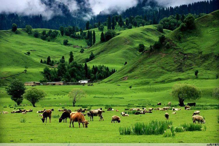 t恤定制工厂 济宁(t恤衫定制工厂) t恤定制工厂 济宁(t恤衫定制工厂)