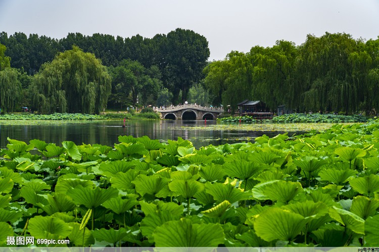 春秋工作服尺寸规格表大全(春秋工作服款式图片大全)