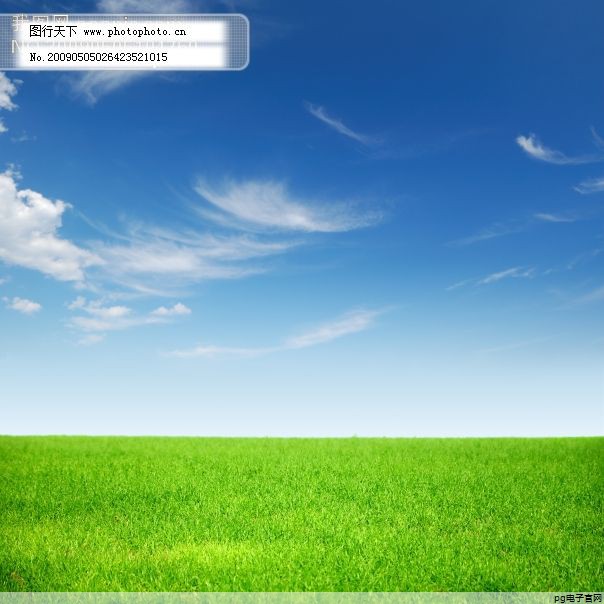 夏季工服选什么款式舒服有档次的女装