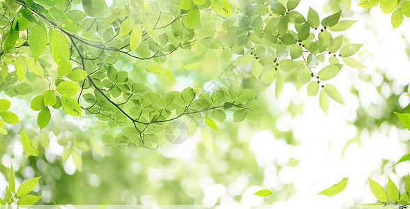 夏季工服采购请示怎么写(采购工服的情况说明怎么写)