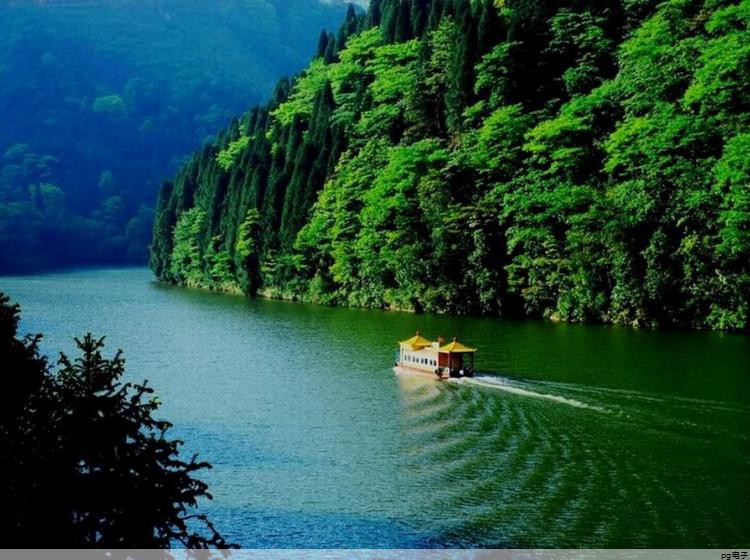 夏季工服采购请示怎么写范文(采购夏季工装的请示)