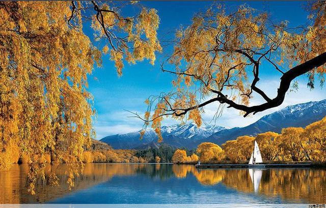 运动速干t恤会不会越洗越大呢(运动速干t恤会不会越洗越大呢视频)