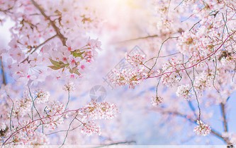 帽子定制图案文字图片大全(帽子定制logo)