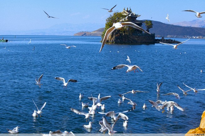 帽子定制图案设计(帽子定制好看的图片)