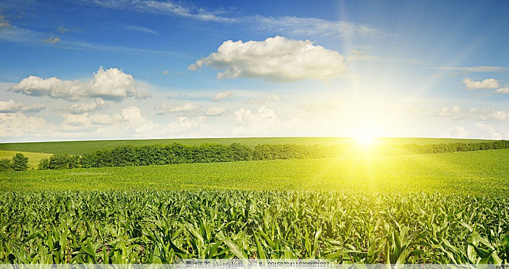 帽子定制图案设计儿童(帽子 定制)