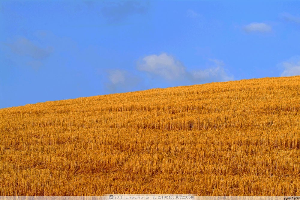 帽子定制图片大全集(帽子定制图案 手绘可爱)