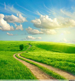 帽子定制文字怎么写(帽定制logo印字)