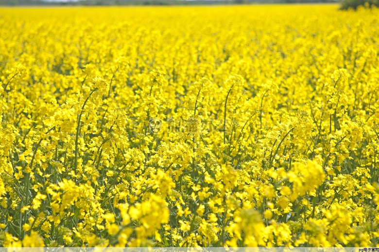 春秋工作服定制厂家电话(重庆工作服定制定做厂家)