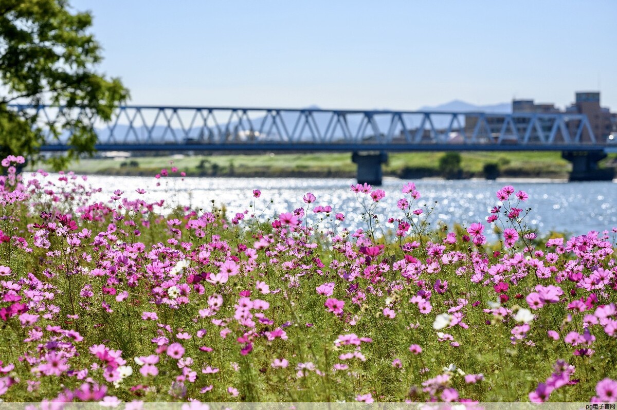 春秋服饰图片(春秋服装款式图) 春秋服饰图片(春秋服装款式图)