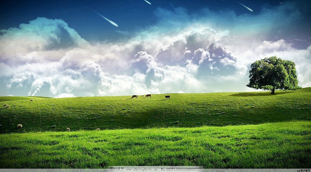 纯棉t恤衫舒服吗女(纯棉t恤衫舒服吗女装)