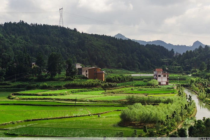 高端品牌polo 衫(高端品牌polo 衫有哪些牌子)
