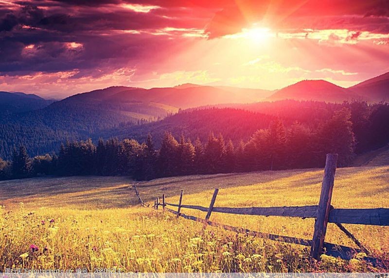 高端商务polo衫一般用什么布料